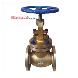 Pressure Seal Bonnet Globe Valve, C95800, 6 Inch, 150 LB, FF