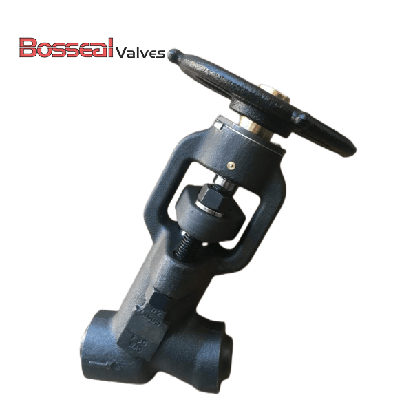 API 602 Y Globe Valve, ASTM A182 F11, 3/4 IN, CL 800 LB, BW