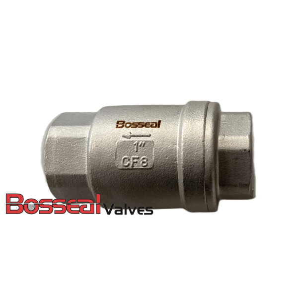 ASTM A351 CF8 Non-return Valve, 1 IN, 1000 PSI, ASME B16.34