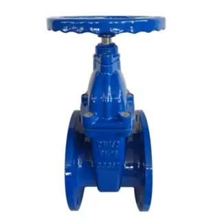 Other Valves