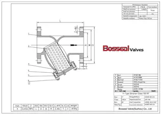 ASTM A351 CF8M Strainer