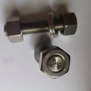 316 Stainless Steel Bolts and Nuts, 3/4 Inch, 10 UNC