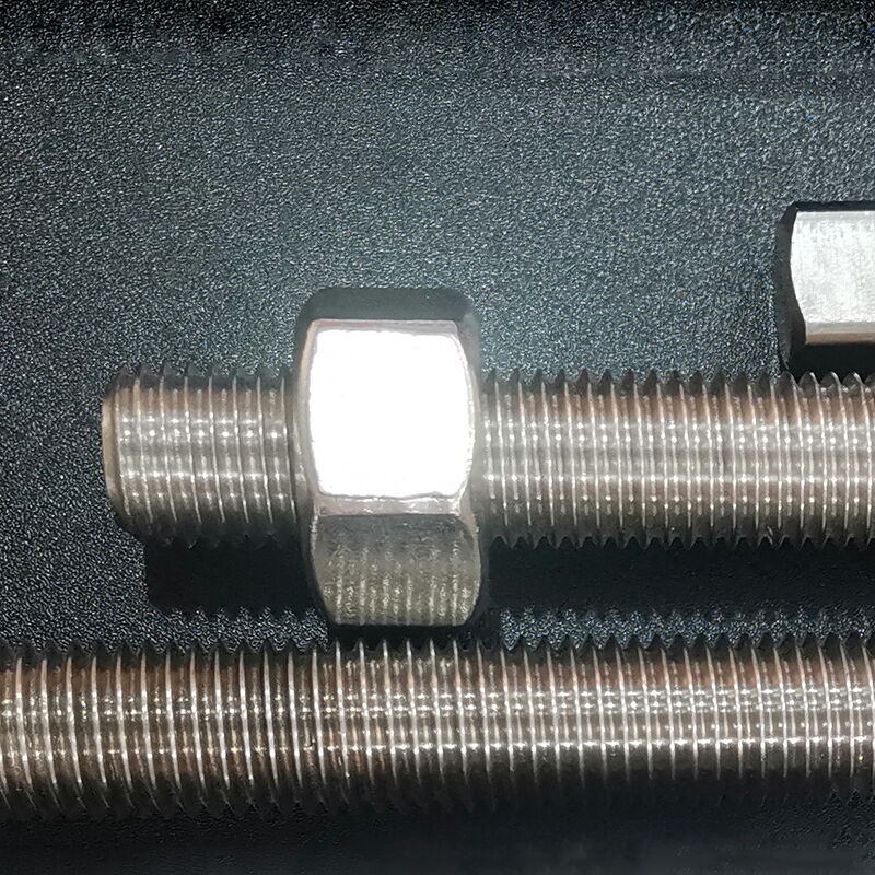 DIN W.Nr.2.4600 Bolt and Nut, Hastelloy B-3, M6 to M100, 30 to 800 mm