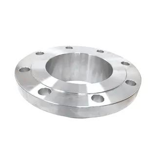 EN10222-5 1.4401 WN Flange, F316, RF, 4 Inch, 300LB