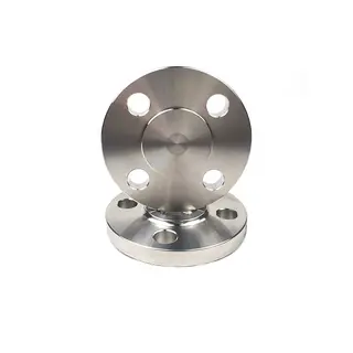 ASTM A182 F304 BL Flange, Forged Steel,150LB, 2 inch