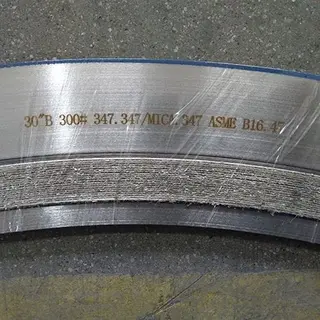 Type B Spiral Wound Gasket, DN750, SS347 Hoop, Mica Filler