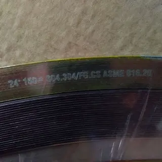 FG Filled Spiral Wound Gasket, 24 Inch, DN600, 150LB