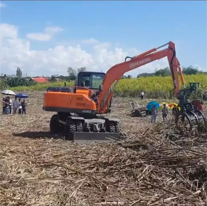 Topper Participating in Sugarcane Harvesting in Philippines