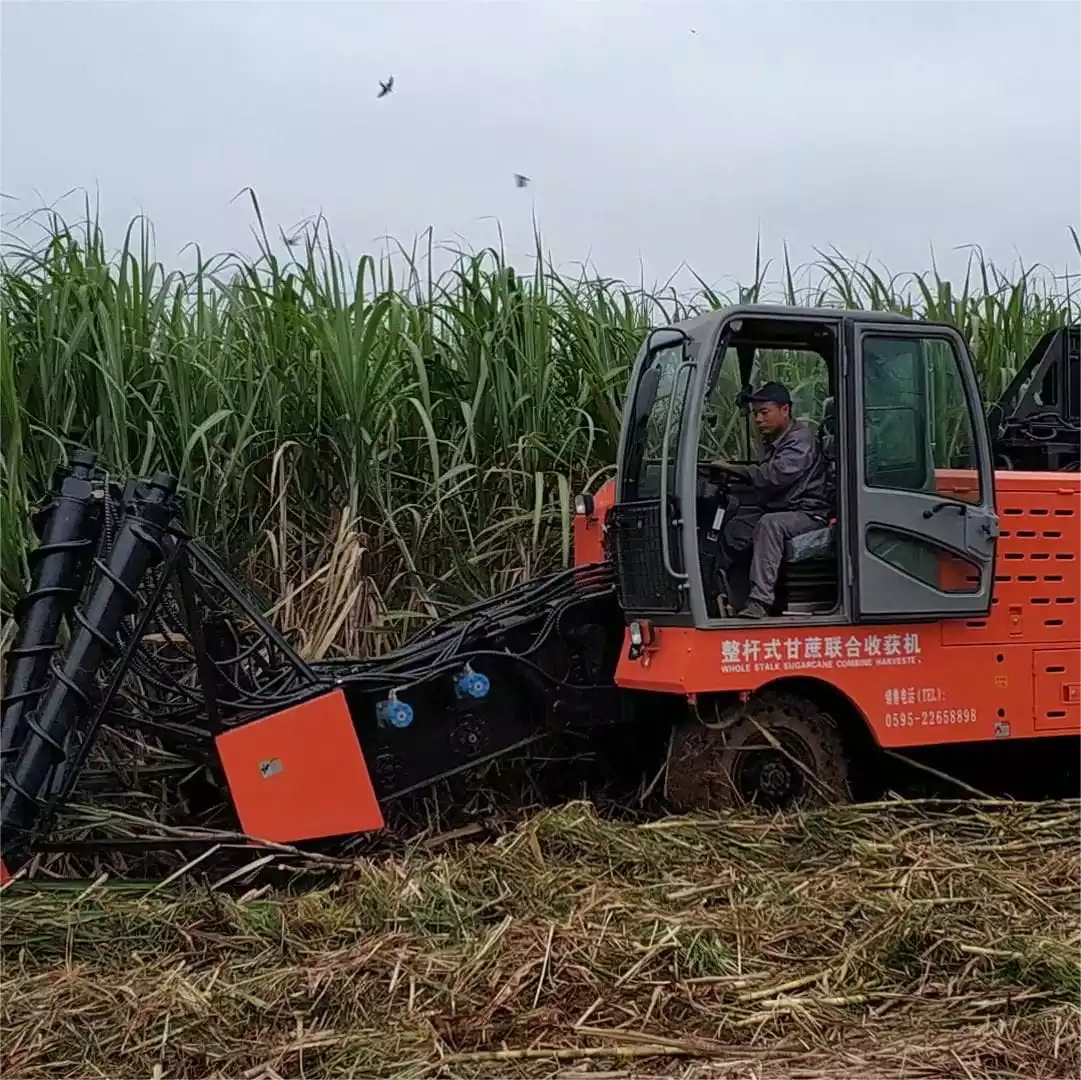 Topper Sugarcane Harvester Helps to Harvest Sugarcane in Paraguay