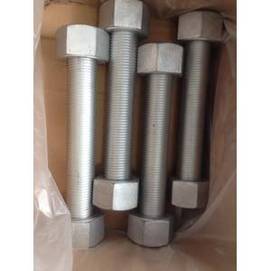 Болт с двумя гайками SS316, DN20 х DN125