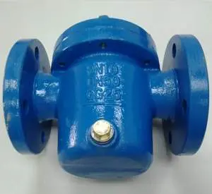 Корзинный фильтр GG25, DN50, PN10, концы с соед.выступом