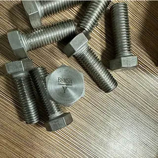 Hex Head Cap Screw, ANSI B18.2.1, ASTM A193 B8M CL.2, SS 316