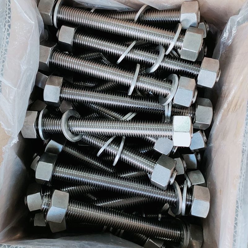 SS 316 Bolt with Nuts and Washers, ASME B18.31.2, 7/8 Inch