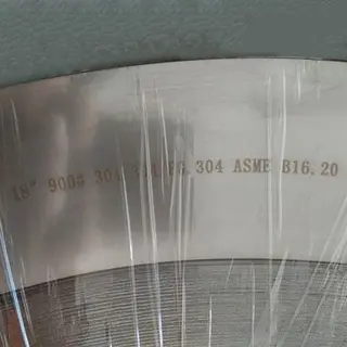 Gasket with SS 304L Outer Ring, 18 Inch, 900 LB, FG Filler