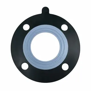 PTFE Bonded EPDM Gasket, 2 Inch, DN50, 150 LB, ASME B16.21