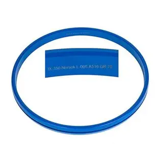 ASME B16.20 Ring Gasket, ASTM A516 GR 70, IX-350
