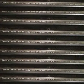 High-temperature Seamless Alloy Steel Pipe, 3 Inch, SCH 160