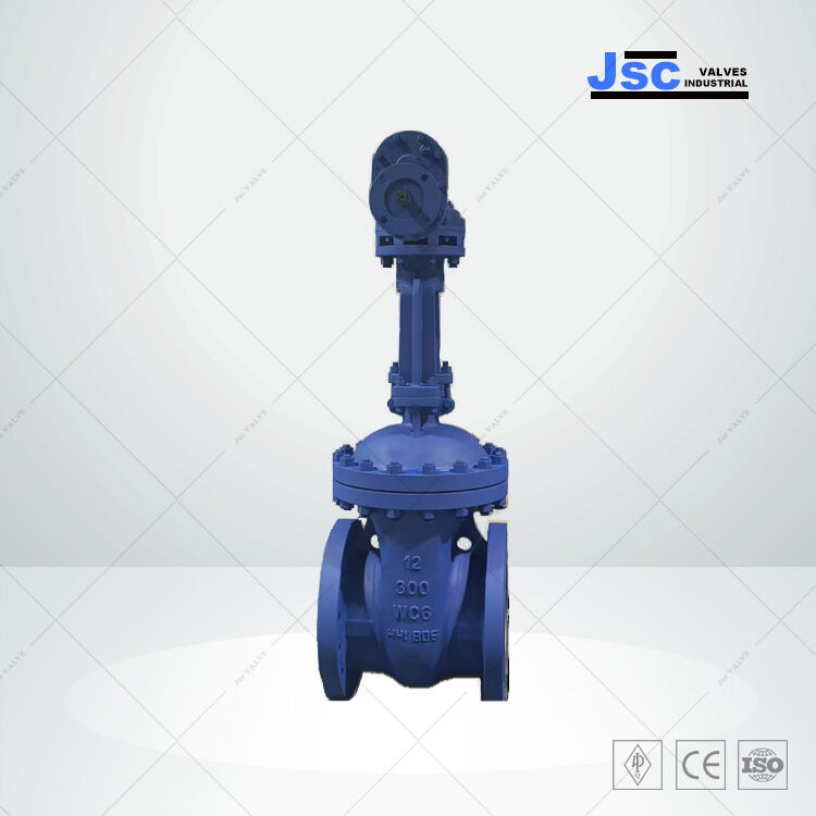 API 600 Wedged Gate Valve 12inch 300LB WC6 API 600 Wedged Gate Valve 12inch 300LB WC6