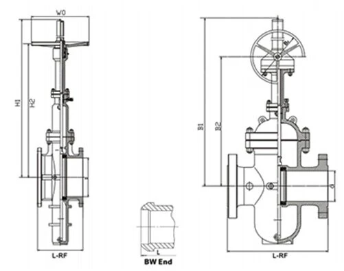Preventing Scratched Seals in Flat Gate Valves
