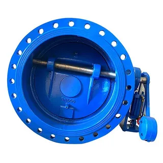 Application of Slow-closing Sub Valve in Check Valves