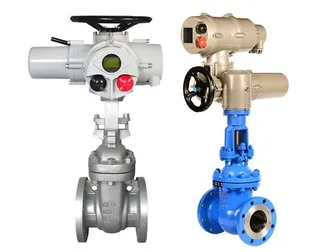 Electric Gate Valve Comparison: Ordinary vs. Fully Enclosed