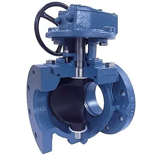 Eccentric Plug Valves: Design and Applications