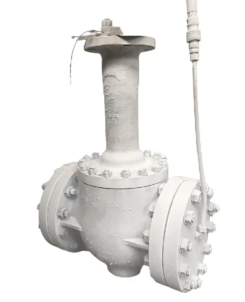 Maintenance and Cleaning Procedures of Cryogenic Ball Valves