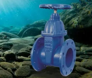 Comparison of Underwater Flat Gate Valve Sealing Structures