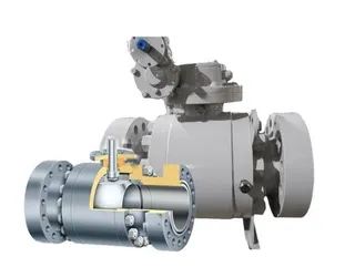Structure and Function of Trunnion Mounted Ball Valve Seats
