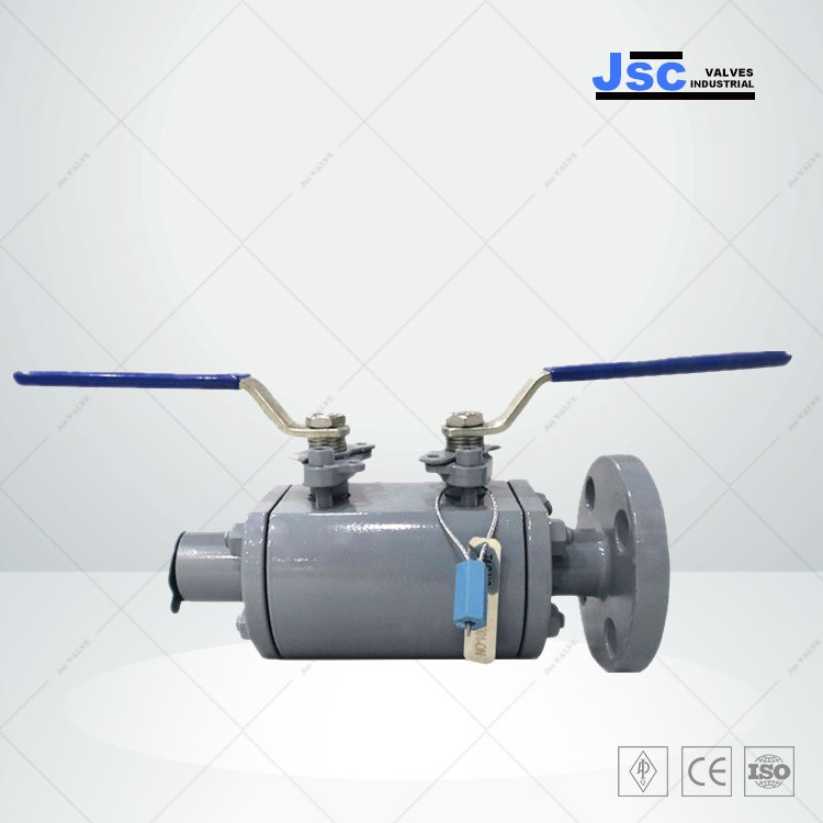 ASTM A105N DBB Ball Valve, API 6D, 1 Inch, 150 LB, RF x NPT