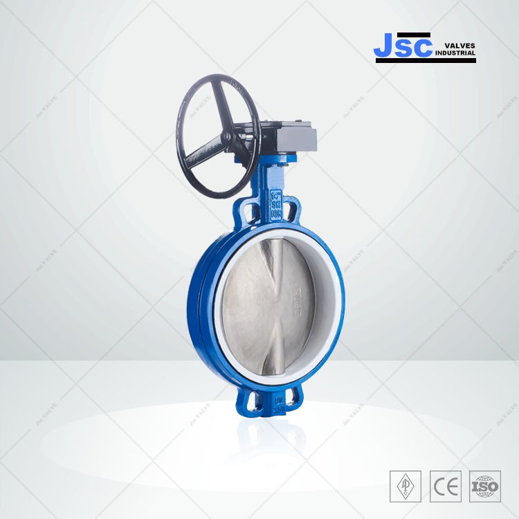 PFA Lined Butterfly Valve, API 609, EN 593, 2-48 Inch, 150 LB