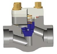 Lift Check Valve Cross Section