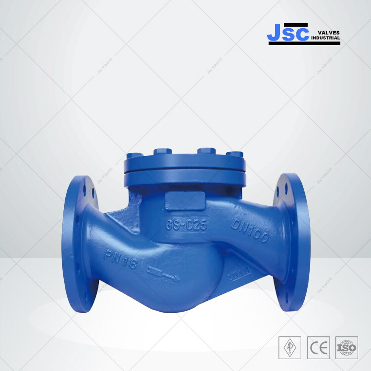 GS-C25 Lift Check Valve, EN 13709, 4 Inch, Class 150 LB, RF