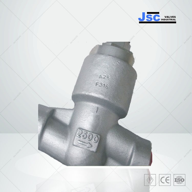 Pressure Seal Forged Check Valve, 1/2-3 Inch, 150-4500 LB