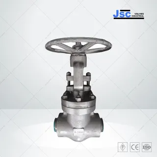 Compact Forged Gate Valve, API 602, ASTM A105N, 3 IN, CL1500