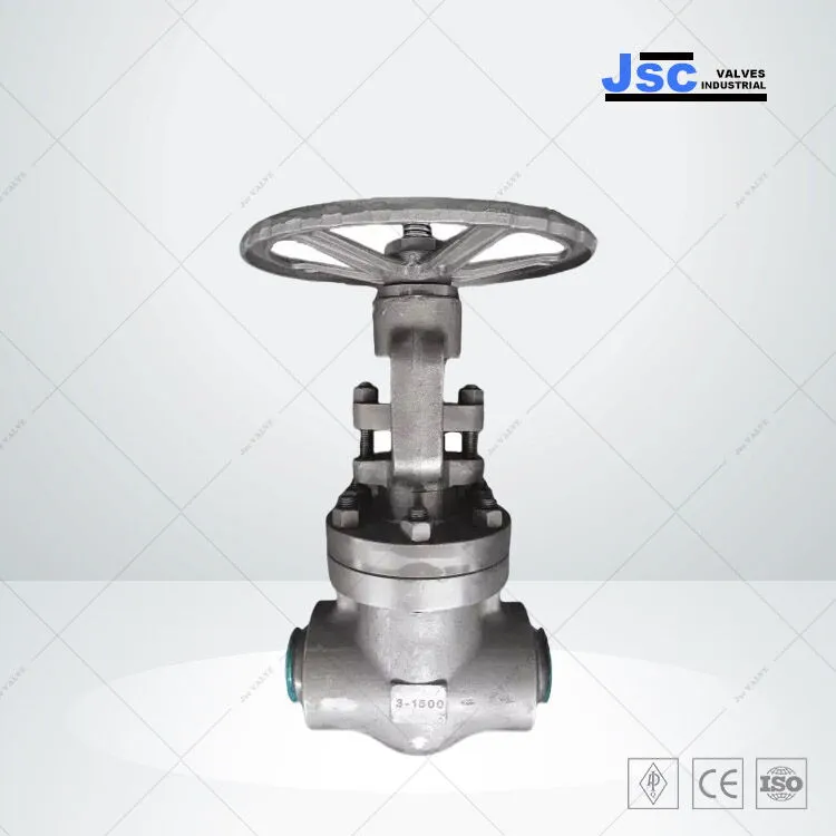 Compact Forged Gate Valve, API 602, ASTM A105N, 3 IN, CL1500