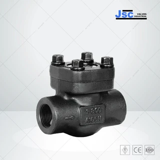 High Pressure Check Valve, API 602, ASTM A105N, 1 IN, CL1500