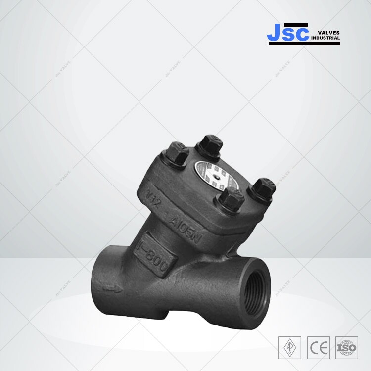 Y Type Check Valve, ASTM A105N, API 602, 1 Inch, 800 LB, NPT