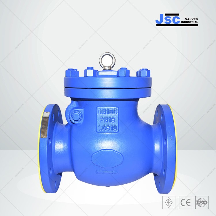 1.0619 Swing Check Valve, Carbon Steel, DIN 3356, DN100, PN16