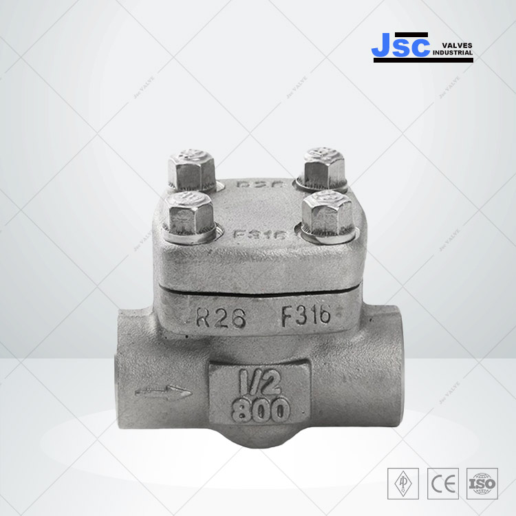 ASTM A182 F316 Swing Check Valve, API 602, 1 IN, 800 LB, NPT