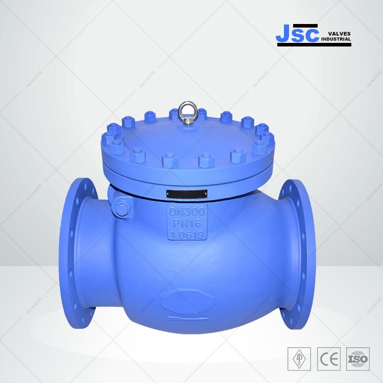 DIN 3356 Swing Check Valve, 1.0619, DN300, PN16, BB, RF