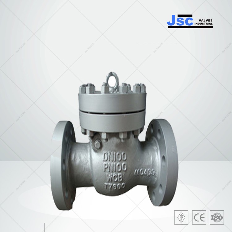 DIN Swing Check Valve, DIN 3356, 1-1/2-32 Inch, 150-600 LB