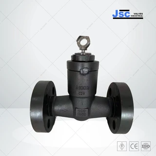 Forged Steel Swing Check Valve, ASTM A105N, 1 IN, CL 800 LB