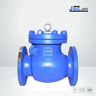 1.0619 Swing Check Valve, Carbon Steel, DIN 3356, DN100, PN16