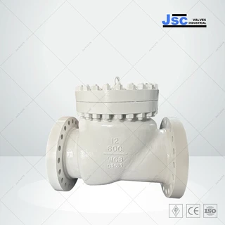 Bolted Bonnet Swing Check Valve, API 6D, 12 IN, 600 LB, WCB