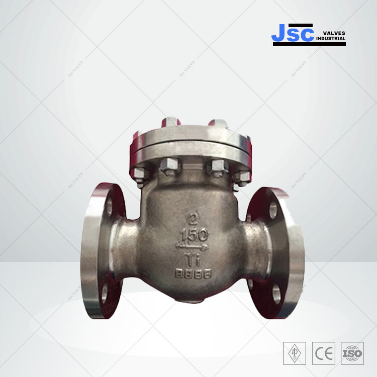Titanium Alloy TA2 Swing Check Valve, API 6D, 2 Inch, 150 LB