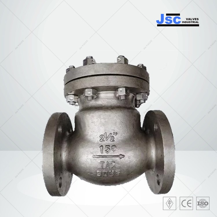 Titanium Swing Check Valve, TA2, BS 1868, 2-1/2 Inch, 150 LB