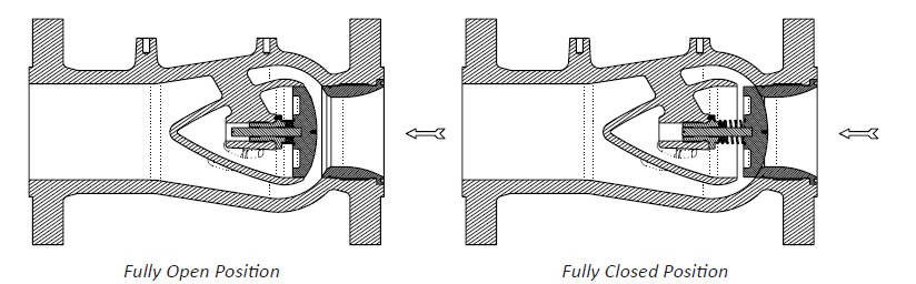 Axial Flow Check Valve