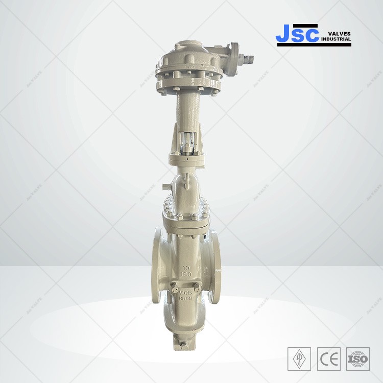 ASTM A216 WCB Flat Gate Valve, API 6D, 10 Inch, 150 LB, RF