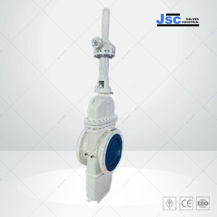 DBB Flat Gate Valve, ASTM A216 WCB, 16 IN, CL150, Piggable